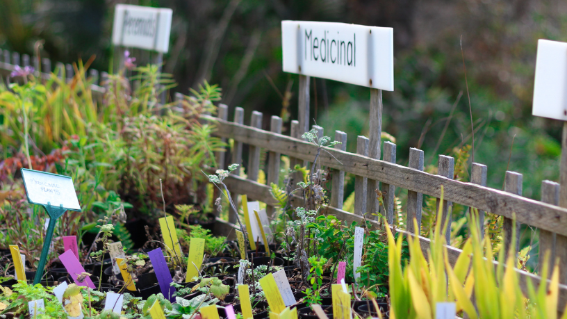 Paulo Augusto Berchielli