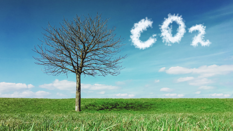 Transformar emissões em lucro com créditos de carbono é uma oportunidade estratégica, segundo Aldo Vendramin.