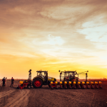 Alfredo Moreira Filho