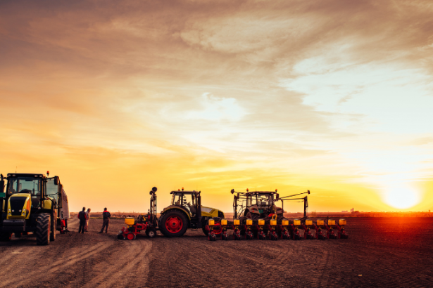 Alfredo Moreira Filho